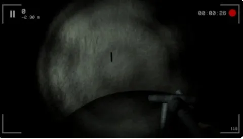 SCP087深渊2026最新版本截图