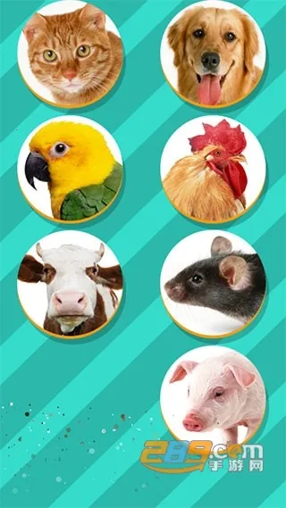 动物翻译器全部动物截图