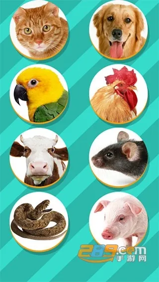 动物翻译器全部动物截图
