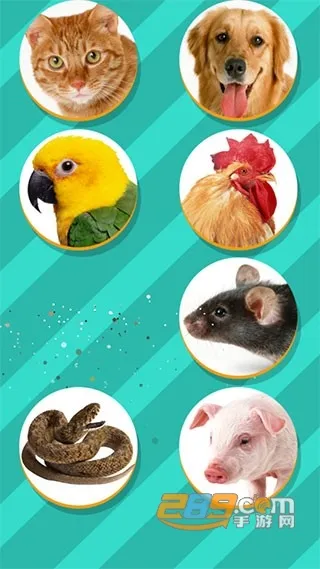 动物翻译器全部动物截图