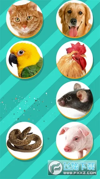 动物翻译器全部动物截图