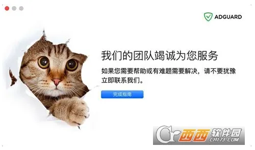 adguard高级版截图