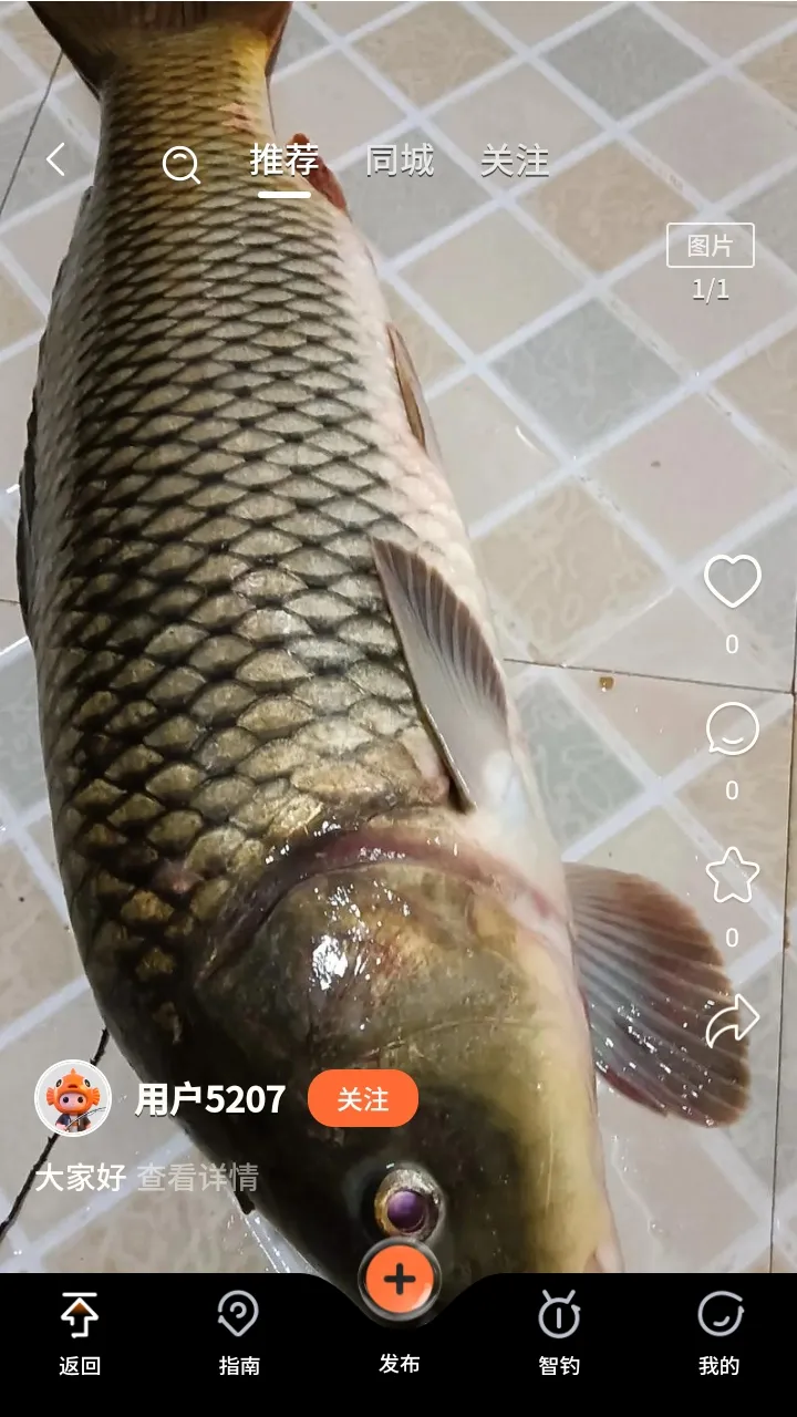 小红鱼钓鱼软件(钓鱼辅助软件)截图