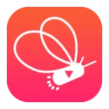 火萤直播最新手机版