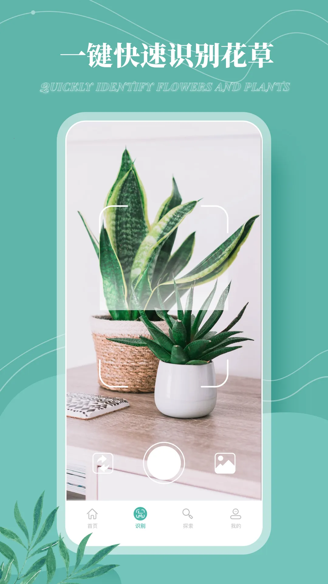 花草录(植物养护识别软件)截图