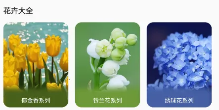 花草录(植物养护识别软件) 花草录(植物养护识别软件)