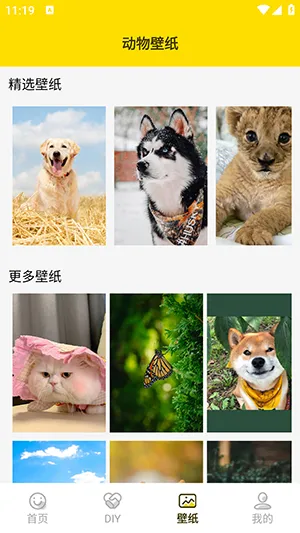 兔子表情包2026下载安装 兔子表情包2026下载安装