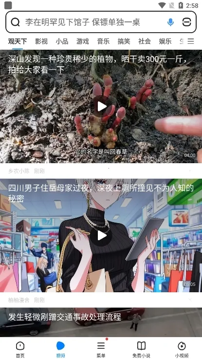 飞觅浏览器(多功能搜索浏览器)