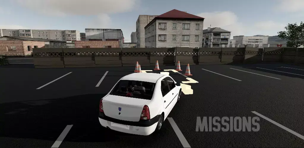 驾驶专家2无限货币版安卓版手机版截图