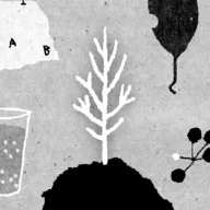 她的树2026官方最新版本