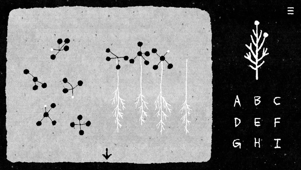 她的树2026官方最新版本截图