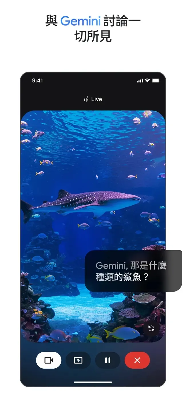 GeminiPro2026官方最新版本截图