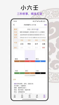 天纪排盘Pro(易学排盘工具)截图