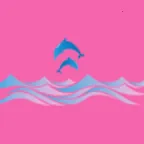 玩动相册(照片管理工具)