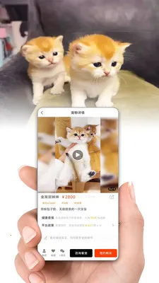 网喵最新手机版截图