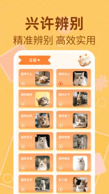 猫狗萌语翻译器(宠物趣味沟通应用)截图