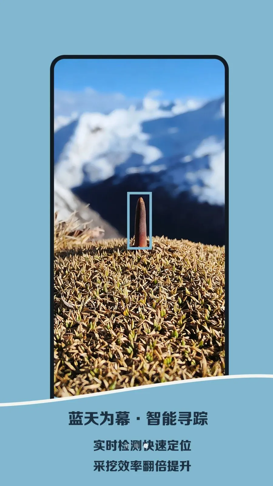 Norbu挖虫草助手2026下载截图