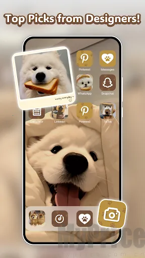 Themely2026���ذ�װ