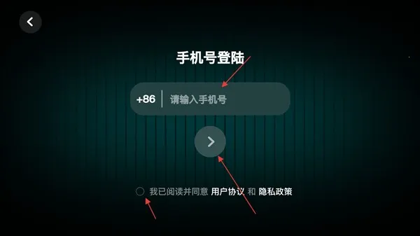 �ʺ絯��2026����