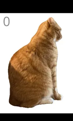 ��è��ë2026�ٷ�����v1.0 ��Ѱ�