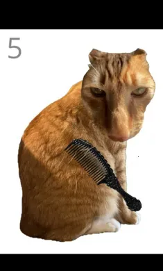 ��è��ë2026�ٷ�����v1.0 ��Ѱ�