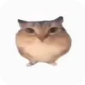 �ͰͲ�һ����(�������Ӧ��)v1.0 �ٷ�����