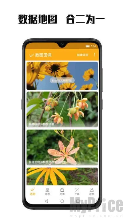 数图田调(田野数据采集软件)