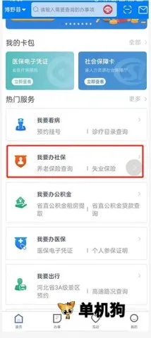 河北政务服务网(河北政务服务软件)