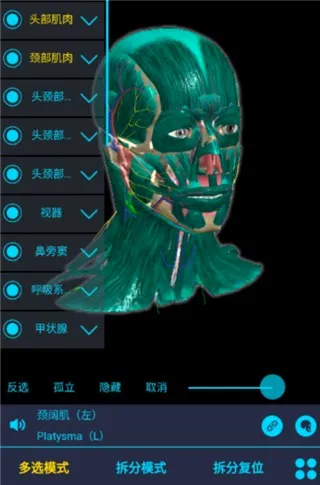 医维度解剖安卓版手机版 医维度解剖安卓版手机版