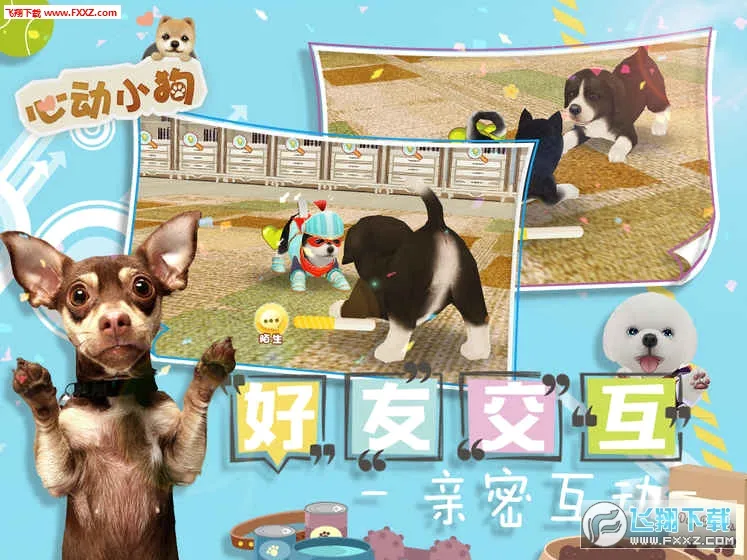 �Ķ�С�������ֻ���v1.1.0 ��׿��