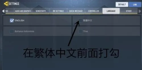codm国际服最新手机版