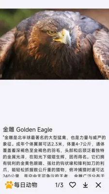 ÿ�ն���(����֪ʶ����)v1.0.0 ��Ѱ�