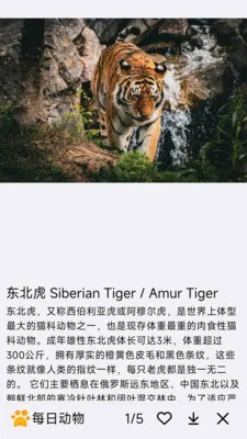 ÿ�ն���(����֪ʶ����)v1.0.0 ��Ѱ�