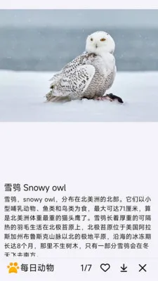 ÿ�ն���(����֪ʶ����)v1.0.0 ��Ѱ�