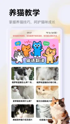 ����è��app2026�ٷ����°汾v1.4 ��׿��