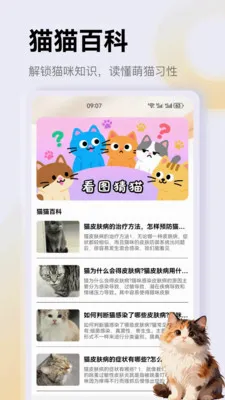 ����è��app2026�ٷ����°汾v1.4 ��׿��