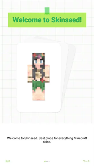 skinseedƤ��������v6.5.22 �ٷ�����