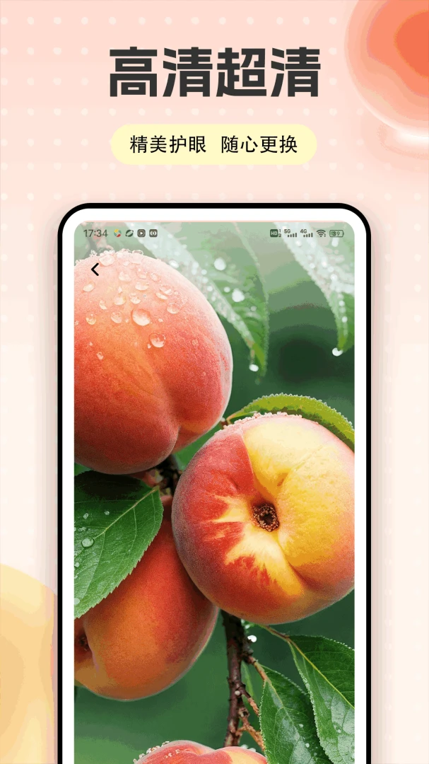 �Ҷ��app2026���°汾v1.0.5 �ֻ���