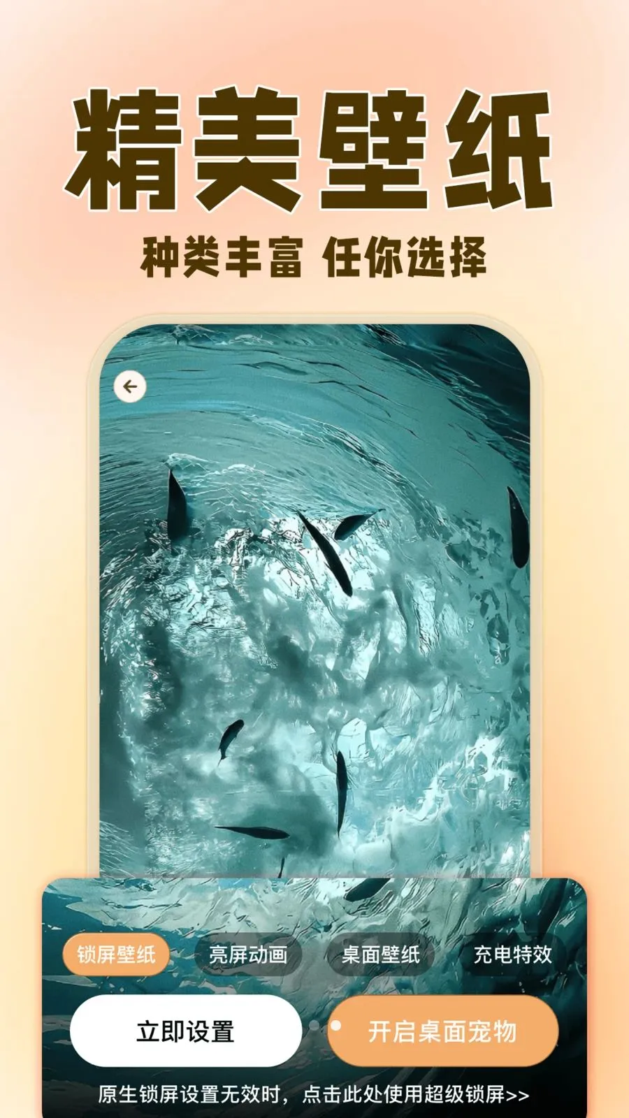 �����ȳ辫��(������������)v1.0.3 ��Ѱ�
