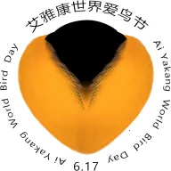 ��������(�����Ĵ�����)v1.0.0 �ֻ���